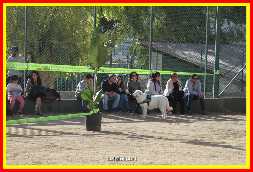 180311 mostra_canina 074.jpg